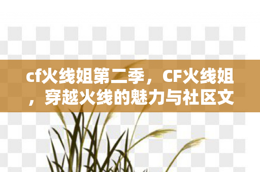 cf火线姐第二季，CF火线姐，穿越火线的魅力与社区文化