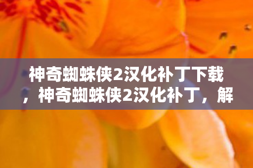 神奇蜘蛛侠2汉化补丁下载，神奇蜘蛛侠2汉化补丁，解锁游戏新世界的钥匙