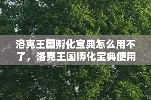 洛克王国孵化宝典怎么用不了，洛克王国孵化宝典使用指南
