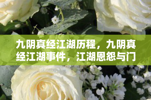 九阴真经江湖历程，九阴真经江湖事件，江湖恩怨与门派纷争