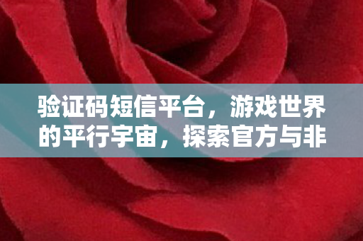 验证码短信平台，游戏世界的平行宇宙，探索官方与非官方服务器的独特魅力
