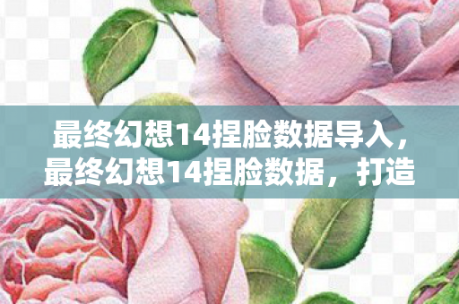 最终幻想14捏脸数据导入，最终幻想14捏脸数据，打造个性化角色的艺术