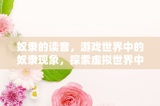 奴隶的读音，游戏世界中的奴隶现象，探索虚拟世界中的不平等