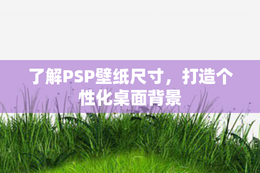 了解PSP壁纸尺寸，打造个性化桌面背景