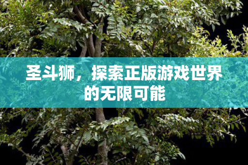 圣斗狮，探索正版游戏世界的无限可能