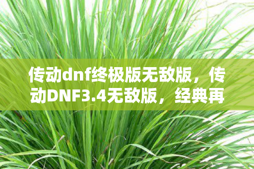 传动dnf终极版无敌版，传动DNF3.4无敌版，经典再现，极致体验