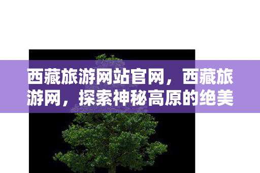 西藏旅游网站官网，西藏旅游网，探索神秘高原的绝美风光