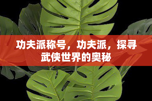 功夫派称号，功夫派，探寻武侠世界的奥秘