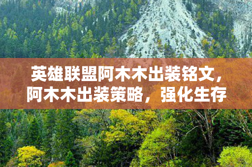 英雄联盟阿木木出装铭文，阿木木出装策略，强化生存与输出能力