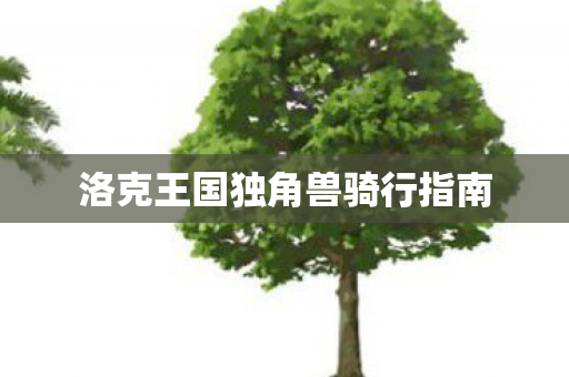 洛克王国独角兽骑行指南