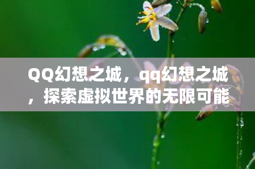 QQ幻想之城，qq幻想之城，探索虚拟世界的无限可能