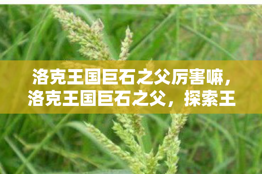 洛克王国巨石之父厉害嘛，洛克王国巨石之父，探索王国背后的传奇