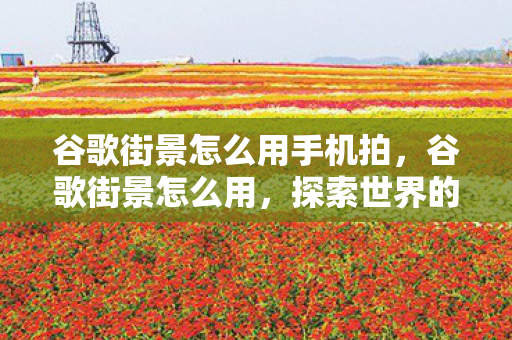 谷歌街景怎么用手机拍，谷歌街景怎么用，探索世界的每一个角落