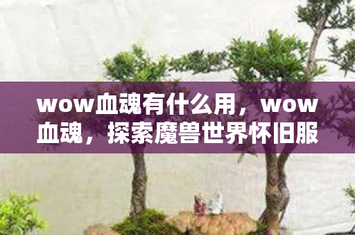wow血魂有什么用，wow血魂，探索魔兽世界怀旧服中的经典与情怀