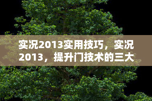 实况2013实用技巧，实况2013，提升门技术的三大技巧