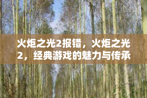 火炬之光2报错，火炬之光2，经典游戏的魅力与传承