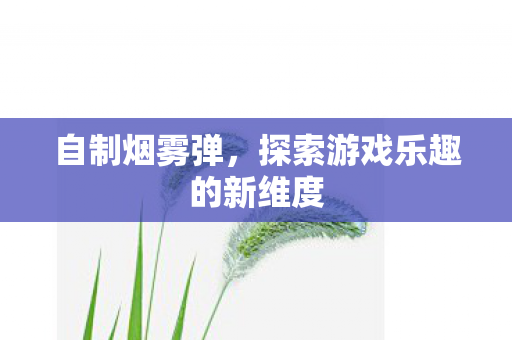 自制烟雾弹，探索游戏乐趣的新维度