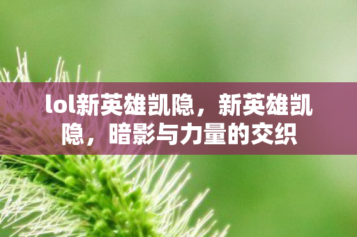 lol新英雄凯隐，新英雄凯隐，暗影与力量的交织