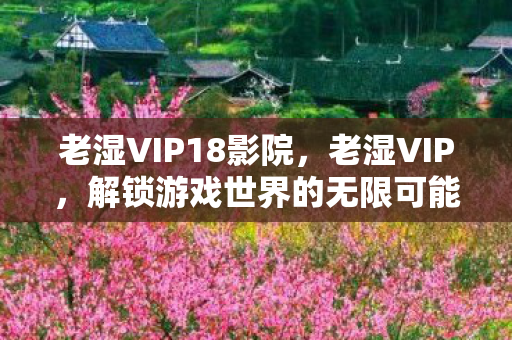 老湿VIP18影院，老湿VIP，解锁游戏世界的无限可能