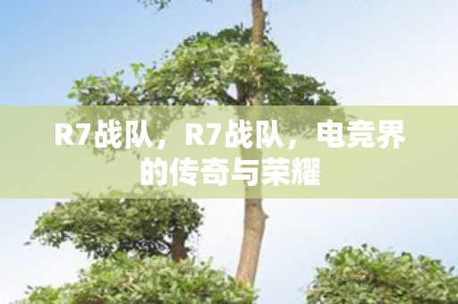 R7战队，R7战队，电竞界的传奇与荣耀