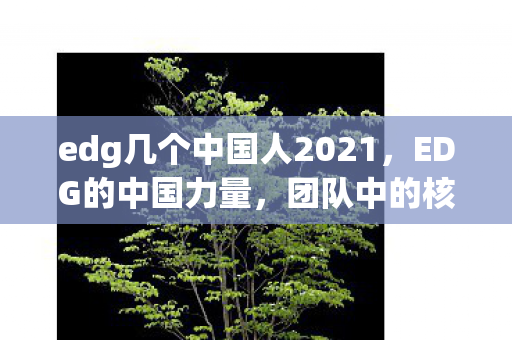 edg几个中国人2021，EDG的中国力量，团队中的核心成员与他们的贡献
