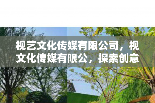 视艺文化传媒有限公司，视文化传媒有限公，探索创意与合规的边界