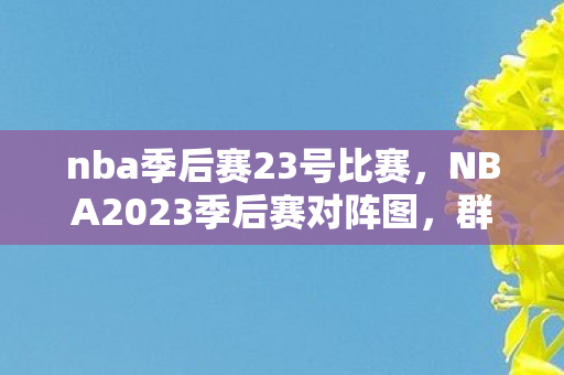 nba季后赛23号比赛，NBA2023季后赛对阵图，群雄逐鹿，激情碰撞