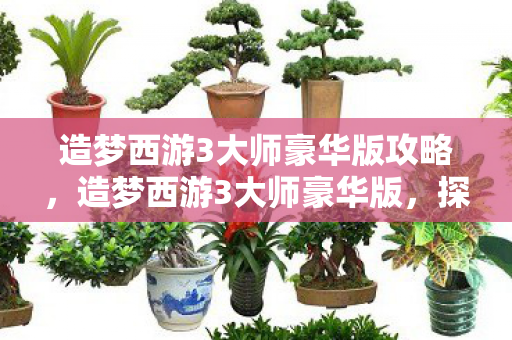 造梦西游3大师豪华版攻略，造梦西游3大师豪华版，探索未知世界的奇幻之旅
