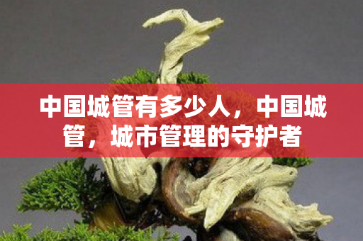 中国城管有多少人，中国城管，城市管理的守护者