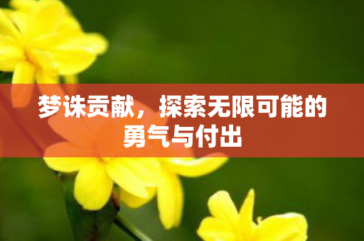 梦诛贡献,探索无限可能的勇气与付出 梦诛贡献,探索无限可能的勇气与付出