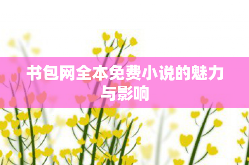 书包网全本免费小说的魅力与影响
