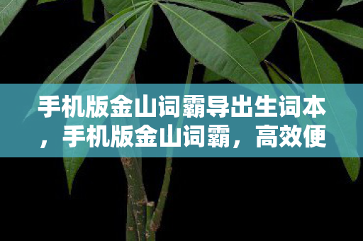 手机版金山词霸导出生词本，手机版金山词霸，高效便捷的英语学习利器