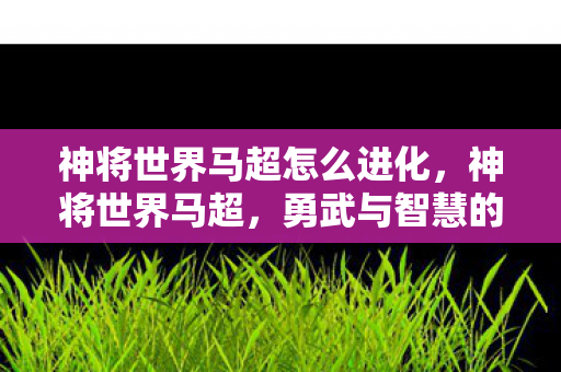神将世界马超怎么进化，神将世界马超，勇武与智慧的化身