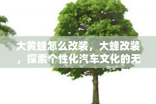 大黄蜂怎么改装，大蜂改装，探索个性化汽车文化的无限可能