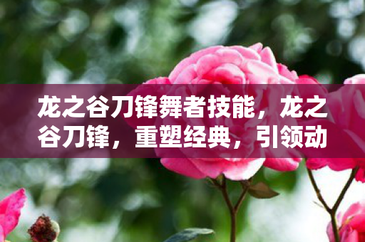 龙之谷刀锋舞者技能，龙之谷刀锋，重塑经典，引领动作网游新潮流