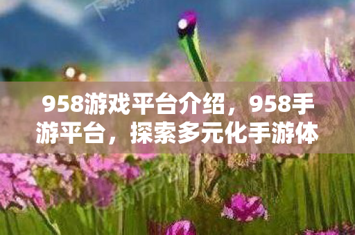 958游戏平台介绍，958手游平台，探索多元化手游体验的新天地