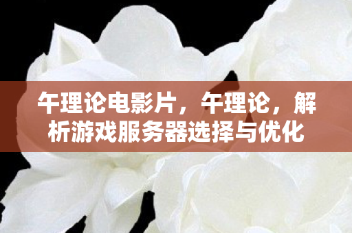 午理论电影片，午理论，解析游戏服务器选择与优化