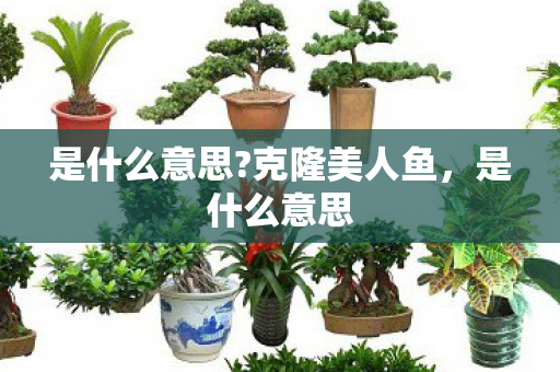 是什么意思?克隆美人鱼，是什么意思