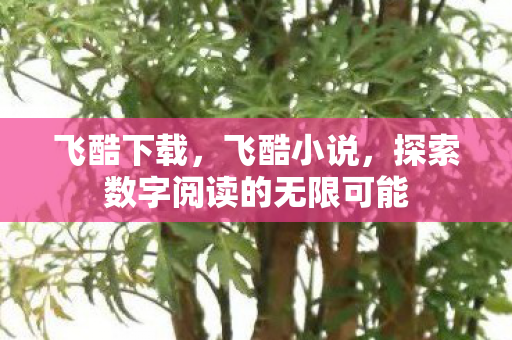 飞酷下载，飞酷小说，探索数字阅读的无限可能