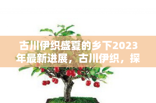 古川伊织盛夏的乡下2023年最新进展，古川伊织，探索游戏世界的无限可能