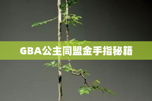 GBA公主同盟金手指秘籍