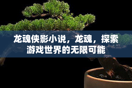 龙魂侠影小说，龙魂，探索游戏世界的无限可能