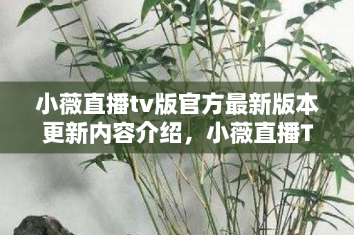 小薇直播tv版官方最新版本更新内容介绍，小薇直播TV版官方，打造家庭娱乐新体验