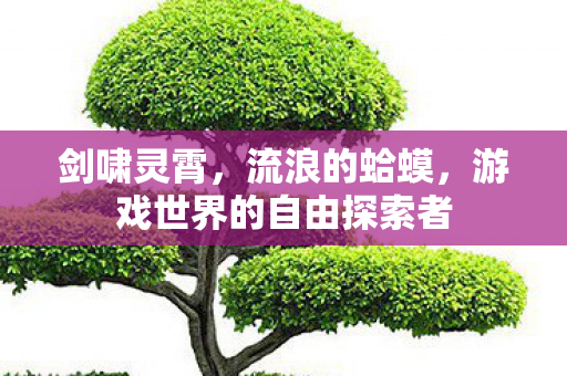 剑啸灵霄，流浪的蛤蟆，游戏世界的自由探索者