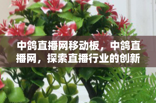 中鸽直播网移动板，中鸽直播网，探索直播行业的创新与发展