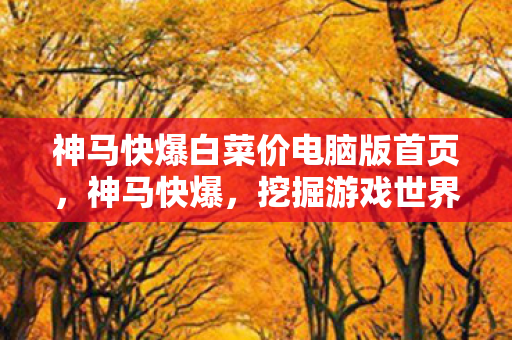神马快爆白菜价电脑版首页，神马快爆，挖掘游戏世界的无限可能