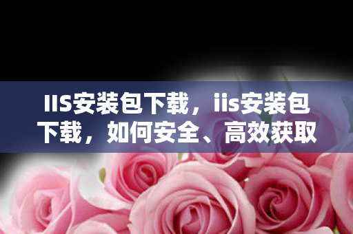 IIS安装包下载，iis安装包下载，如何安全、高效获取官方安装包
