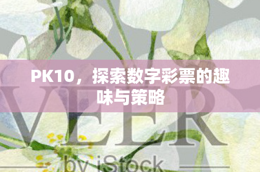 PK10，探索数字彩票的趣味与策略