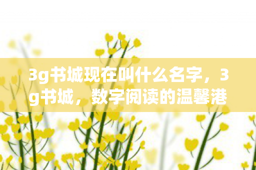 3g书城现在叫什么名字，3g书城，数字阅读的温馨港湾