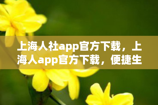 上海人社app官方下载，上海人app官方下载，便捷生活，从掌开始